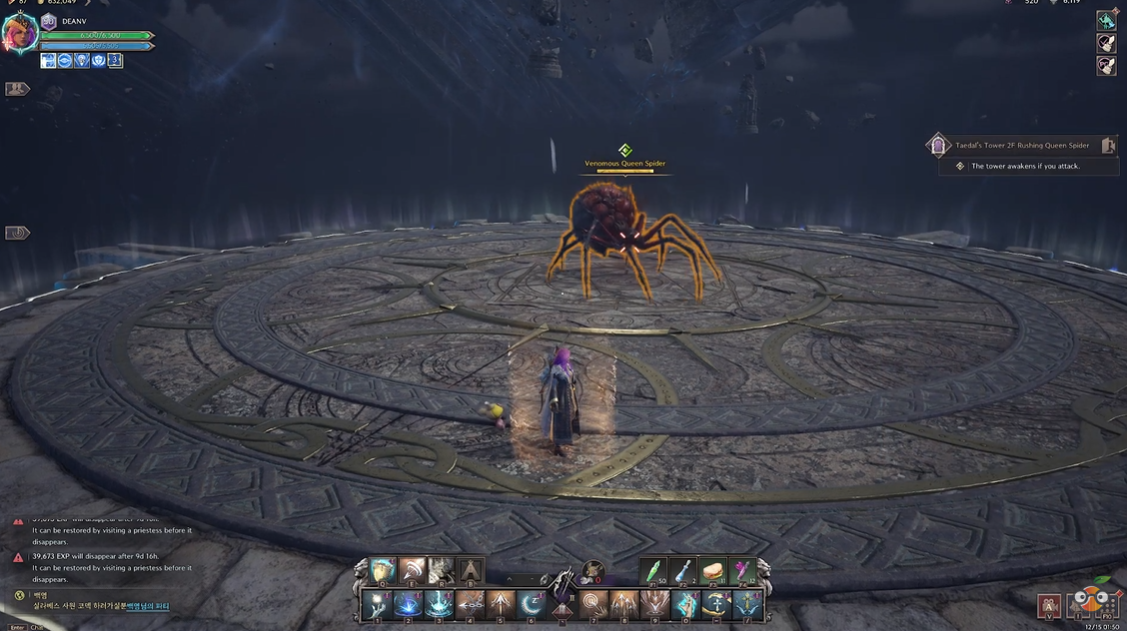 Rushing Queen Spider